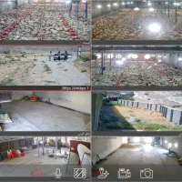 مرغداری-گوشتی-30هزار-قطعه-ای