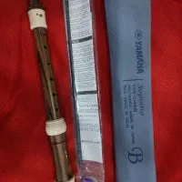 فروش فلوت|سازهای بادی|جهرم, |دیوار