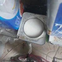 فروش روغن چربی گاو مخصوص صابون