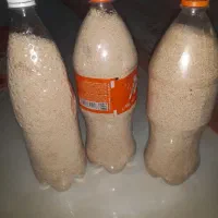 بذر کشاورزی