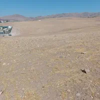 زمین حاشیه جاده زنجان به روستای همایون|فروش زمین و ملک کلنگی|زنجان, |دیوار