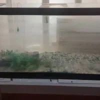 شیشه ی آکواریوم