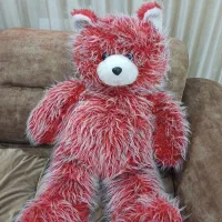 خرس ولنتاین