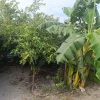 فروش خانه ویلایی ۱۴۰ متری ۲ خوابه|فروش خانه و ویلا|منوجان, |دیوار