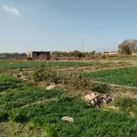 زمین-کشاورزی