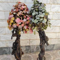درختچه