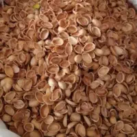 پوست پسته