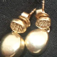 یک جفت گوشواره گمشده