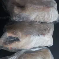 اوردک محلی دشتی