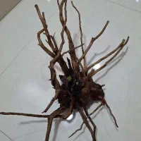 چوب ابنوس اکواریوم