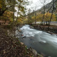 نیکون D7500 - به همراه 2 لنز|دوربین عکاسی و فیلمبرداری|تهران, شادمان|دیوار