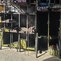 کارگر ساده( آقا)