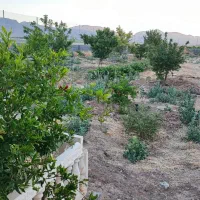 فروش-باغ-شهری-بیضا-هرابال