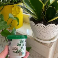 قرص کود ارگانیک تقویت گل وگیاه