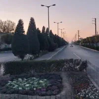 کارخانه نیمه اماده فازغذایی شهرک صنعتی کاویان