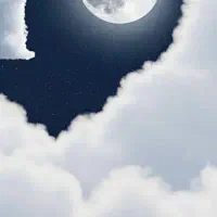 اموری داوطلبانه