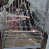 دو عدد قفسه پرنده