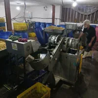 نیروی کار در شرکت زیتون|استخدام صنعتی، فنی، مهندسی|گیلوان, |دیوار