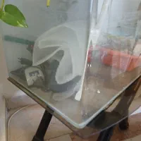 آکواریم 30×50