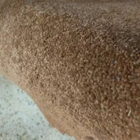 فروش. پالاز موکت