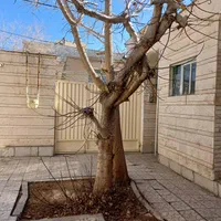 ویلایی یک طبقه ۱۴۰ متری خیابان آتشگاه|فروش خانه و ویلا|اصفهان, بهارانچی|دیوار