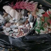 اکواریوم|لوازم جانبی حیوانات|اهر, |دیوار