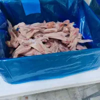 بال و کتف منجمد