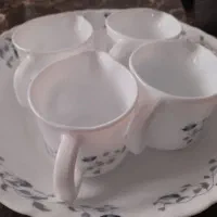 دیس برنج ، کاسه سالاد خوری ، سس خوری|ظروف سرو و پذیرایی|مشکین‌دشت, |دیوار