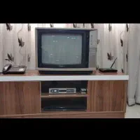 تلویزیون کلکسیونی