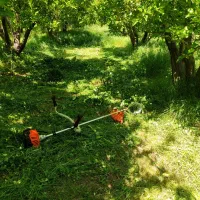 علف زنی باغ و باغچه