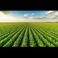 اجاره زمین کشاورزی آبی