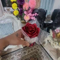 رز شاین ماندگار|گل مصنوعی|نظرآباد, شهرک آزادگان|دیوار