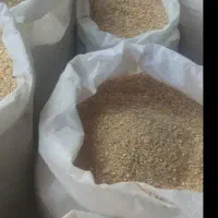 خرید  فروش گندم