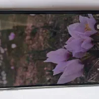 گوشی آیفون 10 xs