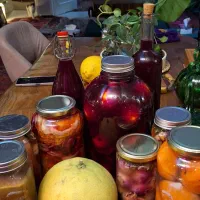 پروبیوتیک کیمچی ساورکرات و کواس