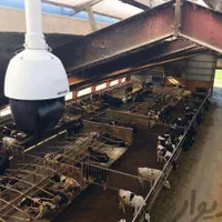 دوربین مداربسته و جک برقی و دزدگیر و ups