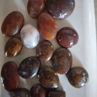 شجر پایزه|جواهرات|قائن, |دیوار