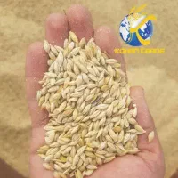 راهنمایی دو تن جو خارجی