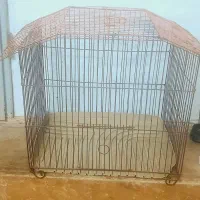 قفس پرنده