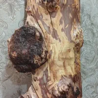 شلف و کنسول دیواری