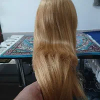 مانکن مو مخصوص شنیون + کلا گیس|آرایشگاه و سالنهای زیبایی|میاندوآب, |دیوار