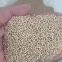 ارزن درشت اصفهان تمیز