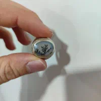 انگشترشجر دو عدد