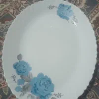 سرویس کامل ارکوپال