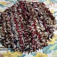 پادری درحدنو ۳۰۰هزارتومان