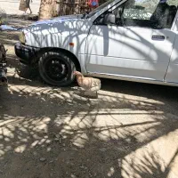 مرغ کهنوج