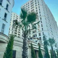 خرید آسان و شفاف از حاج رحیم قربانی/امضاء سازنده|فروش آپارتمان|تهران, شهرک استقلال|دیوار