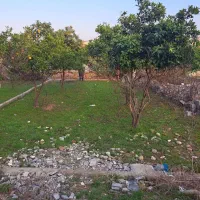 138-متر-زمین-در-بابل-منطقه-جنگلی-بندپی
