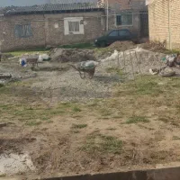 فروش-استثنایی-زمین-کردآباد-علی-آبادکتول