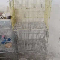 قفس و لانه عروس و پرنده